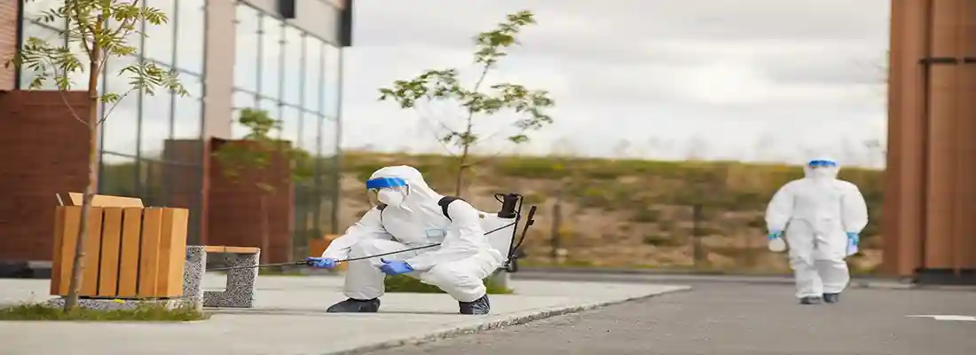 Désinsectisation Saint-Galmier