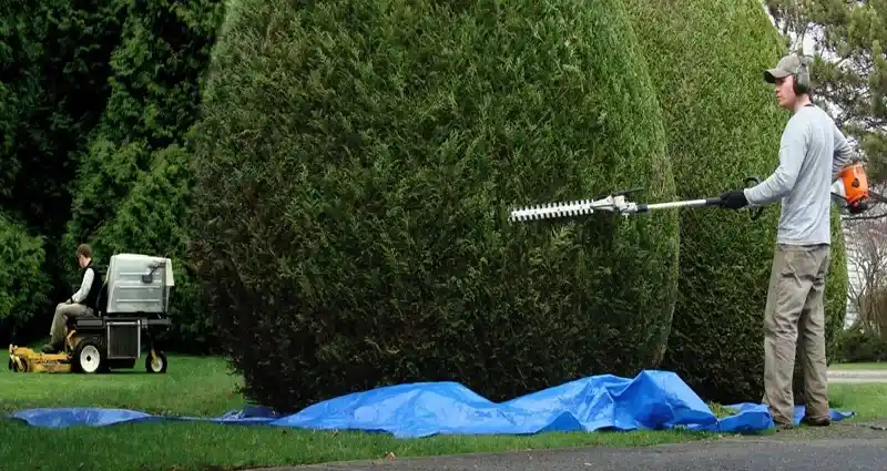 Entretien des espaces verts à Saint-Julien-en-Genevois 74160